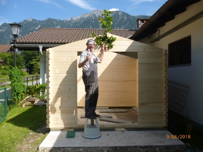 Foto Hütterlbau Juni 2018